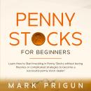 Penny Stocks for Beginners: Learn How to Start Investing in Penny Stocks Without Boring Theories or  Audiobook