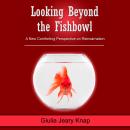 Looking Beyond the Fishbowl: A New Comforting Perspective on Reincarnation Audiobook