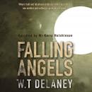 A Falling of Angels: Where truth and falsehood endlessly reflect and refract one another and nothing Audiobook