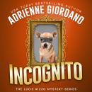 Incognito: A Hidden Identity Mystery Audiobook