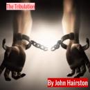 Tribulation: The Anti-Christ. His Henchman. And the Return of Christ., John Hairston