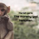 The monkey god hanuman Audiobook