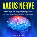 Vagus Nerve: The Self-Therapy Guide to Accessing the Healing Power of the Vagus Nerve - Learn to Man Audiobook