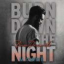 Burn Down the Night Audiobook