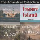 Adventure Collection, The - 4 Classic Novels: Unabridged Audiobooks of Treasure Island, A Princess o Audiobook