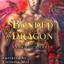Bonded to the Dragon Audiobook