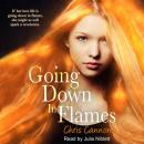 Going Down In Flames Audiobook