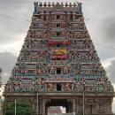 Paradise comes to Mylapore Audiobook