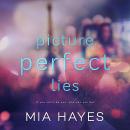 Picture Perfect Lies Audiobook