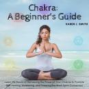 Chakra: A Beginner's Guide: Learn the Basics of Harnessing the Power of Your Chakras to Promote Self Audiobook