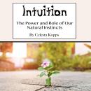 Intuition: The Power and Role of Our Natural Instincts Audiobook