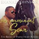 His Permanent Scar: a Sweet Marriage of Convenience series Audiobook