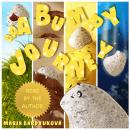 A Bumpy Journey: Searching for Meaning Audiobook