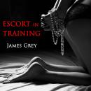 Escort in Training: The Ultimate Sex School Audiobook