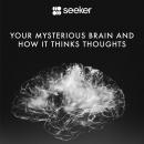 Your Mysterious Brain and How It Thinks Thoughts Audiobook