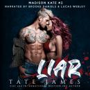 Liar Audiobook