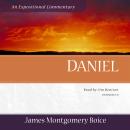 Daniel: An Expositional Commentary Audiobook