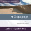 The Minor Prophets: An Expositional Commentary, Volume 1: Hosea–Jonah Audiobook