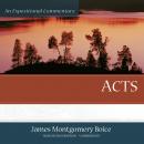 Acts: An Expositional Commentary Audiobook