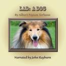 Lad: A Dog Audiobook