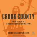 Crook County: Racism and Injustice in America's Largest Criminal Court, Nicole Gonzalez Van Cleve