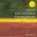 Sociology: A Very Short Introduction, 2nd Edition Audiobook