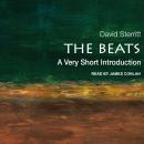 The Beats: A Very Short Introduction Audiobook