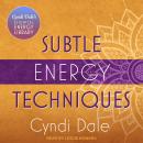 Subtle Energy Techniques Audiobook