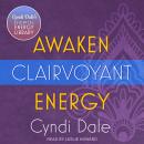 Awaken Clairvoyant Energy Audiobook
