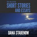 The Collected Short Stories and Essays Audiobook