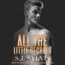 All the Little Secrets Audiobook