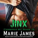 Jinx Audiobook