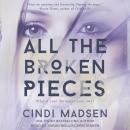 All the Broken Pieces Audiobook