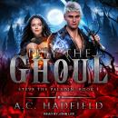 Pity the Ghoul Audiobook