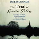 The Trial of Gwen Foley Audiobook