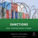 Sanctions: What Everyone Needs to Know Audiobook