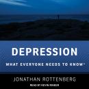 Depression: What Everyone Needs to Know Audiobook