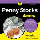 Penny Stocks For Dummies, 3rd Edition Audiobook