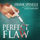 Perfect Flaw Audiobook