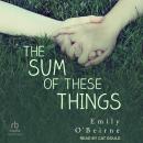 The Sum of These Things Audiobook