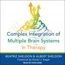 Complex Integration of Multiple Brain Systems in Therapy Audiobook