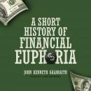 A Short History of Financial Euphoria Audiobook