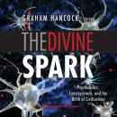 The Divine Spark: A Graham Hancock Reader: Psychedelics, Consciousness, and the Birth of Civilization
