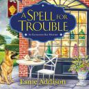 A Spell for Trouble: An Enchanted Bay Mystery Audiobook