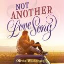 Not Another Love Song Audiobook