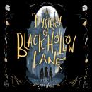 The Mystery of Black Hollow Lane Audiobook