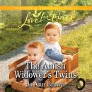 The Amish Widower's Twins Audiobook