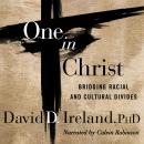 One in Christ: Bridging Racial & Cultural Divides, David D. Ireland, Phd