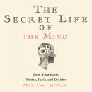 Secret Life of the Mind: How Your Brain Thinks, Feels, and Decides, Mariano Sigman