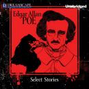 Cover of Select Stories of Edgar Allan Poe